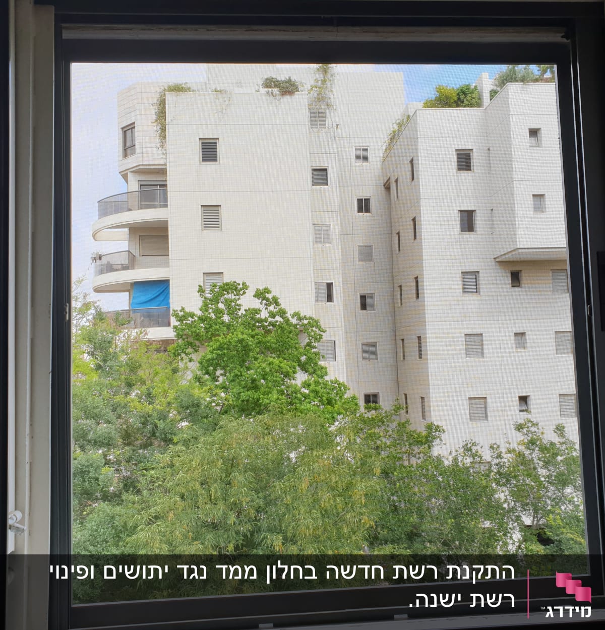 חלון פתוח עם תריסים בצדדים